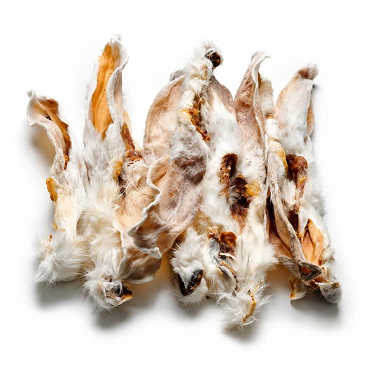 Kaninchen-Ohren mit Fell
