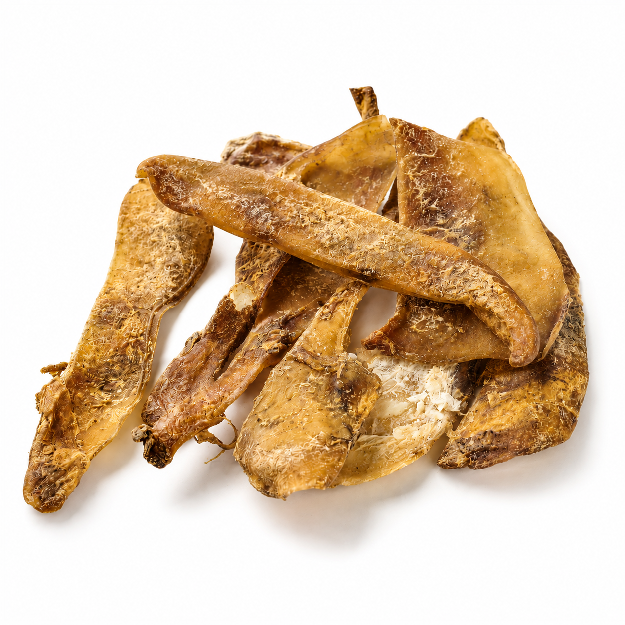 Hirschschulterblatt